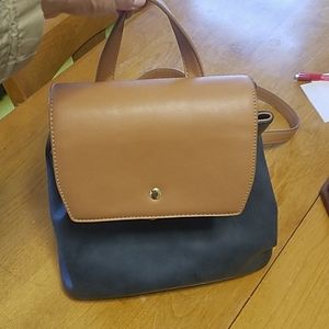 Back pack purse